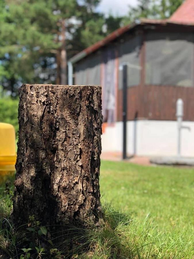 Chata U Smoliku Borovany  Kültér fotó